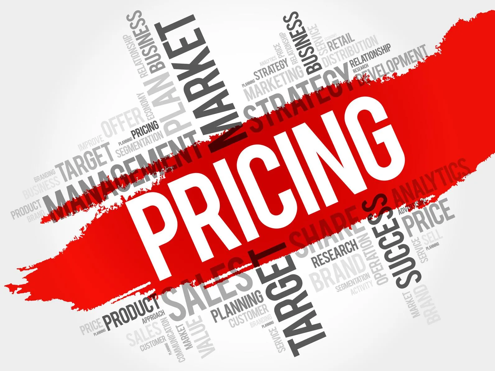 pricing word cloud business concept 1