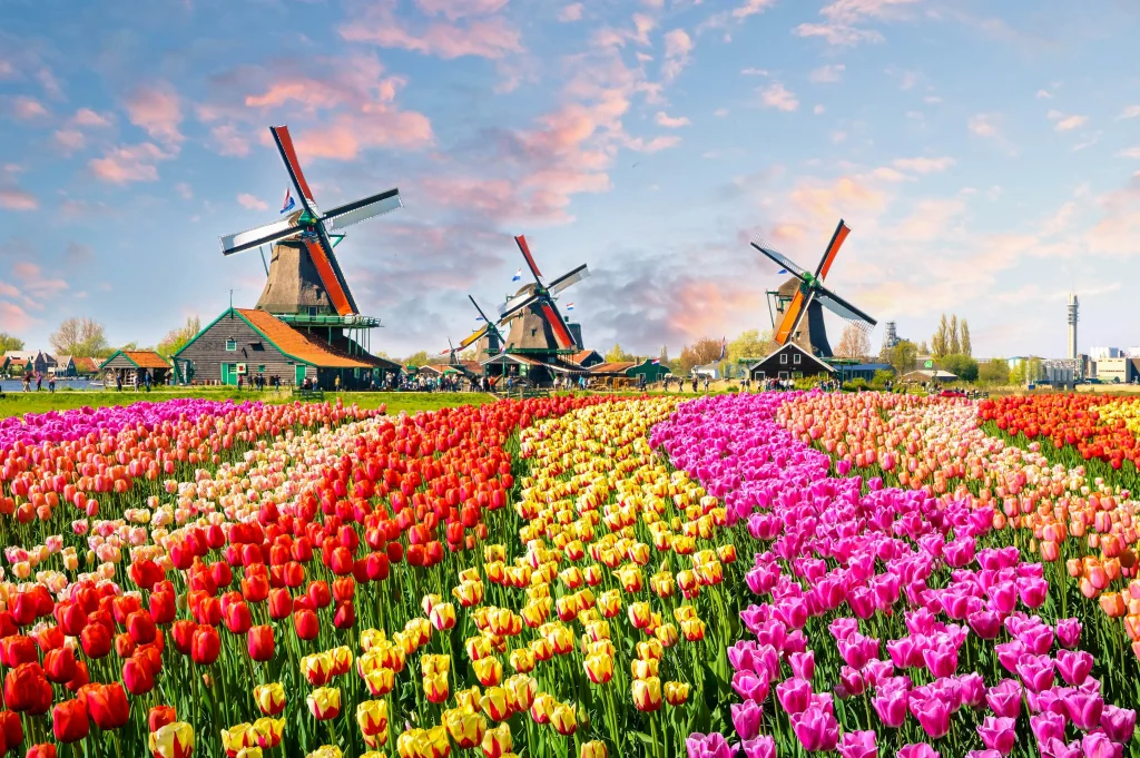 Netherlands Visa